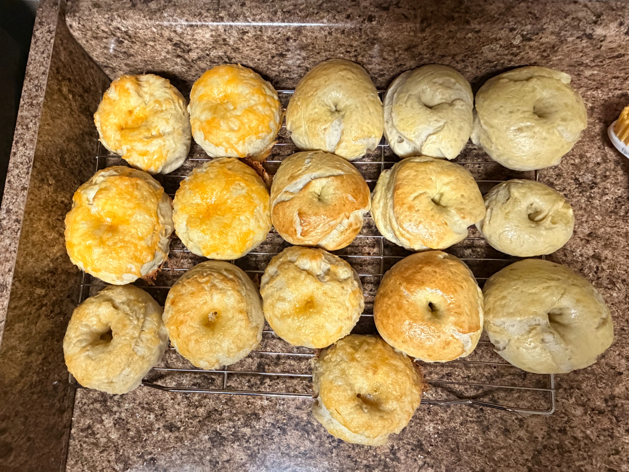 Fresh homemade bagels cooling on a rack